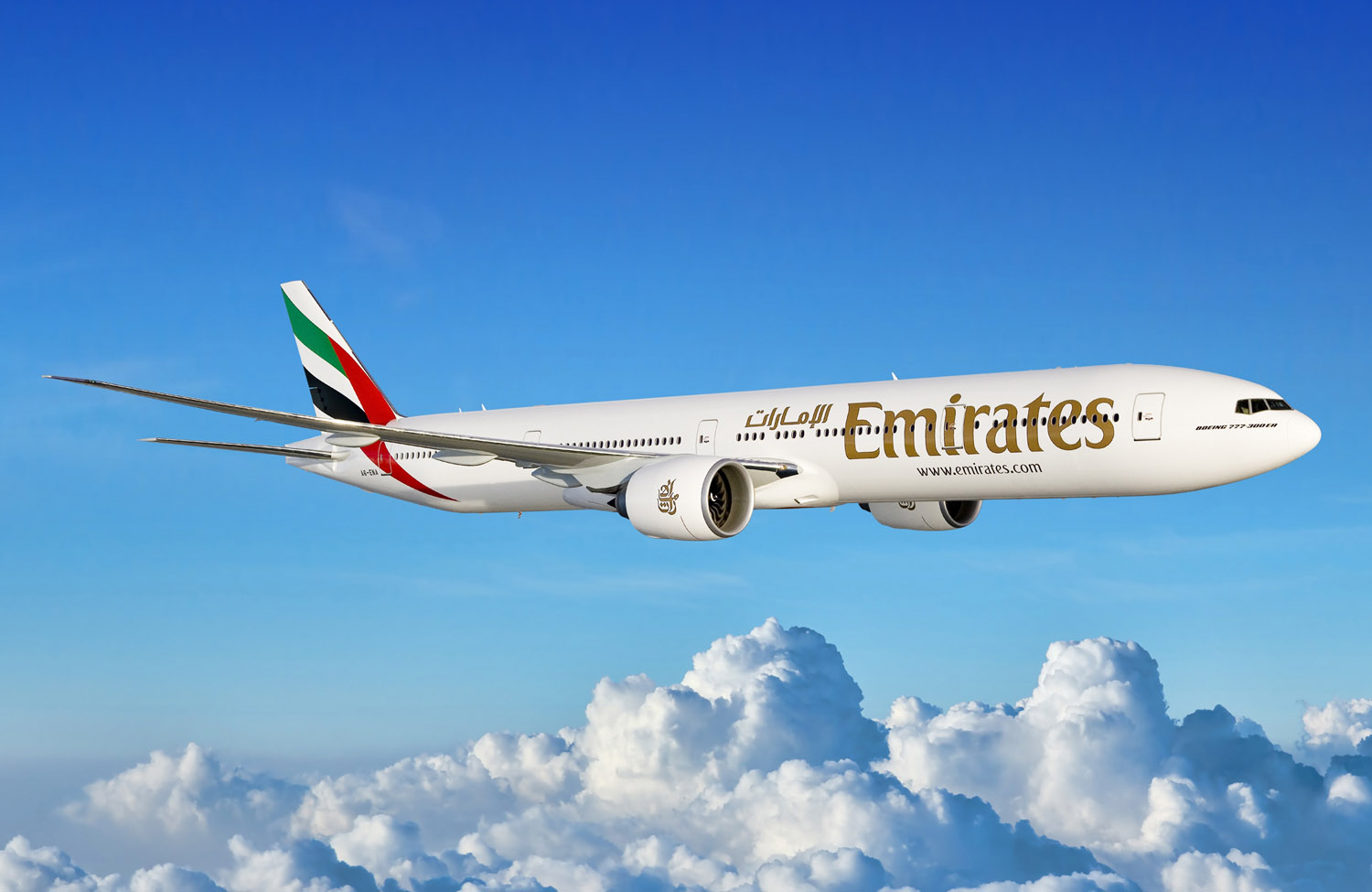 Emirates карта лояльности